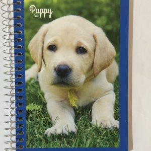 Libreta rayadas 96 hojas VARIOS DISEÑOS