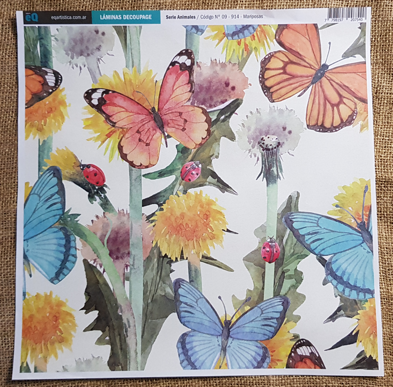 Lamina Eq 31 x 31.5 cm Vintage 09-614